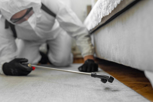 Professional Bed Bug Control technician working in Hertford County County, NC